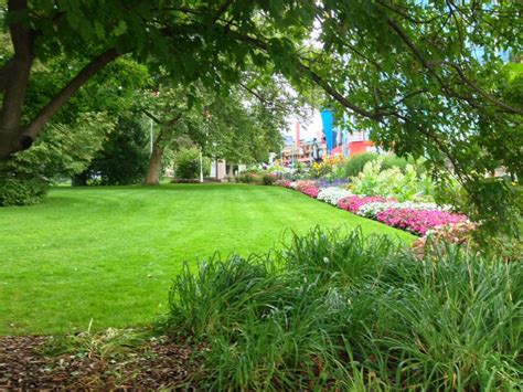 Manicured Grass and Flowers at Park in Niagara Falls, Ontario | FLOWER