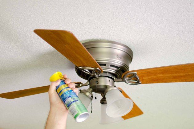 Pin by Mylene Gietzen on Cleaning checklist | Ceiling fan, Cleaning ceiling fans, Cleaning ceilings