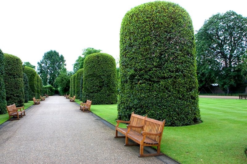 Well manicured grass lawn in a park | Stock image | Colourbox