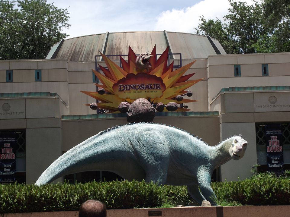 Top 5 Picks for Dinosaur Fans at Disney World