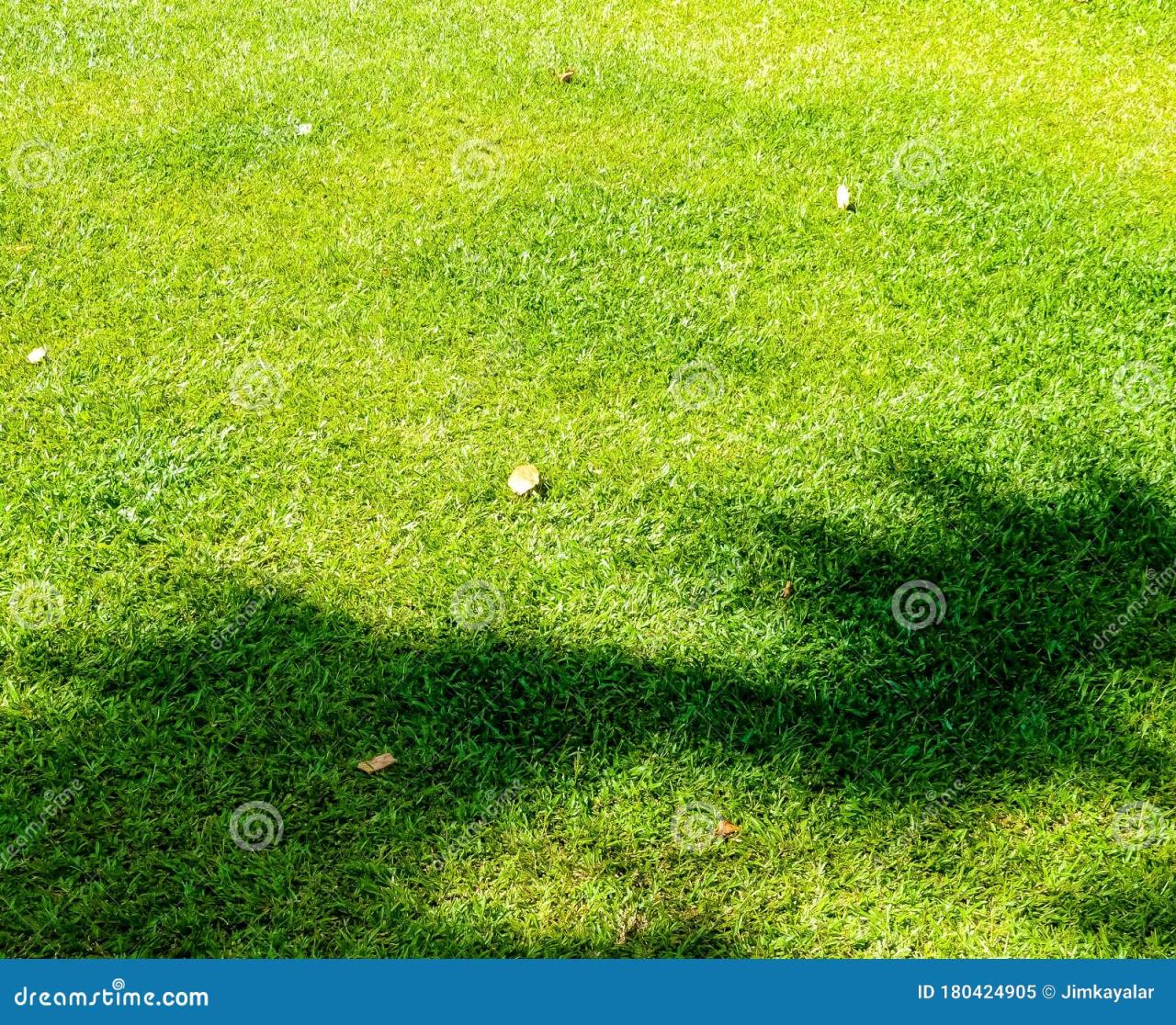 Beautiful Freshly Cut Manicured Grass Stock Image - Image of lush, copy: 180424905
