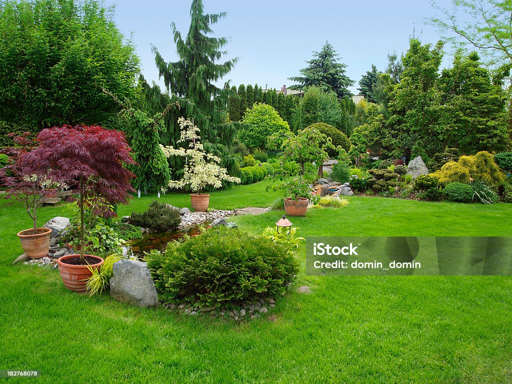 Beautiful Manicured Garden With Bushes Trees Stones Pond Juicy Grass Stock Photo & More Pictures