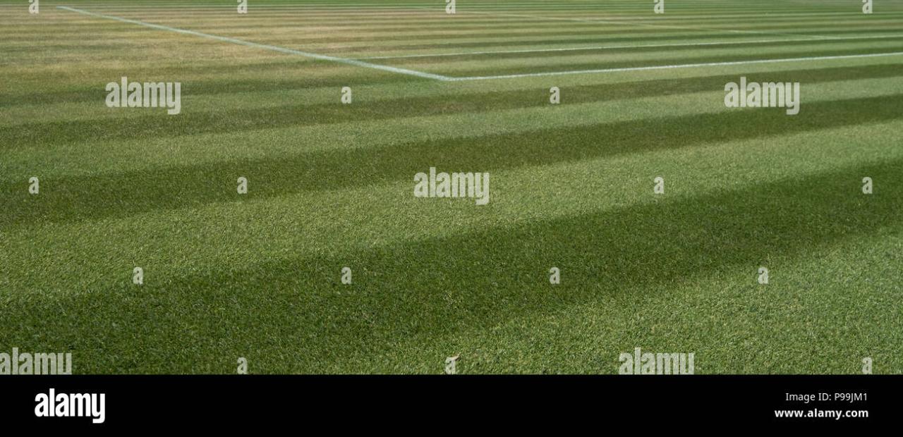 Close up of well manicured grass tennis court at Wimbledon, photographed during the 2018