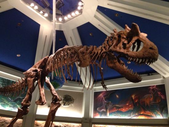 Dinosaur Ride Animal Kingdom - Picture of Disney's Animal Kingdom, Orlando - TripAdvisor