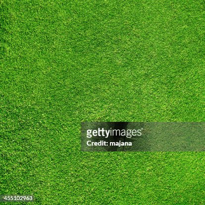 Just Real Grass Perfectly Cut And Manicured Stock Photo - Thinkstock