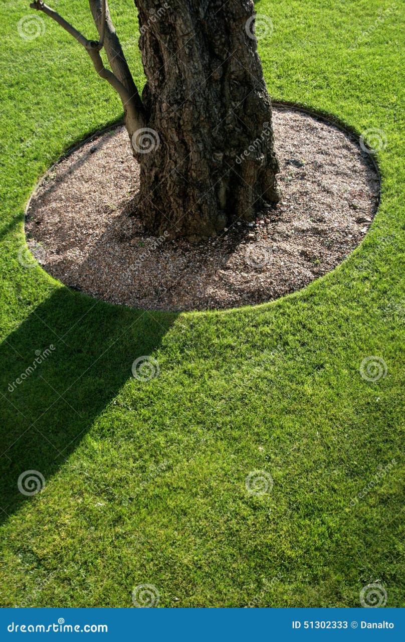 Extremely tidy lawn stock image. Image of green, manicured - 51302333