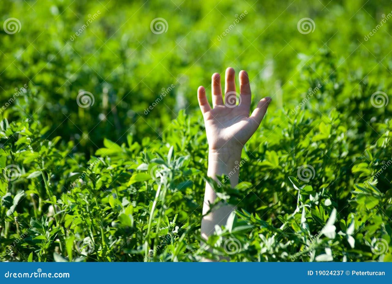 The Hand Stretched from a Grass Stock Image - Image of person, help: 19024237