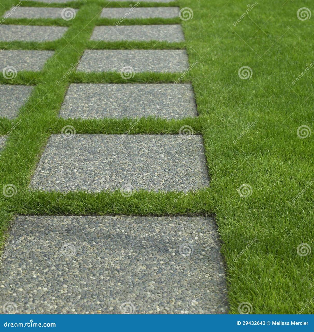 Manicured grass stock image. Image of angle, metro, growth - 29432643