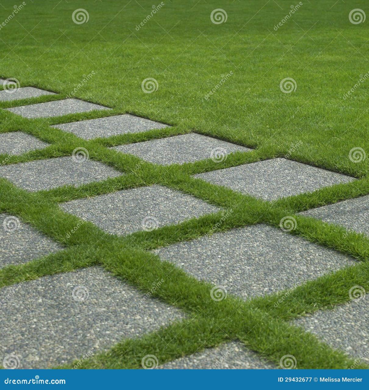 Manicured grass stock image. Image of manicure, line - 29432677