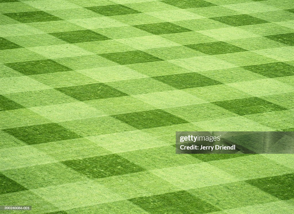Manicured Grass In Baseball Outfield Stock Photo | Getty Images