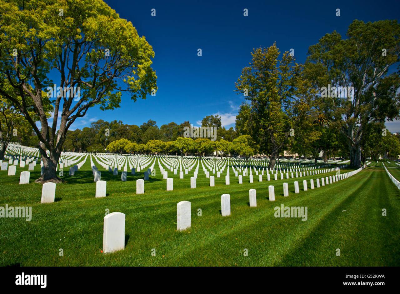 White marble gravestones stretch across the manicured grass of Los Angeles National Cemetery in